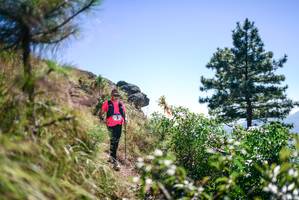 BIB: 
                            <button type="button" onclick="openModal(26608800)" class="btn btn-primary btn-sm float-right btn-popup" data-toggle="modal" data-target=".modal-high-quality">
                        <i class="fas fa-shopping-cart"></i> Add to Cart
                    </button>
                                            <button type="button" onclick="isThisMe(26608800, true)" class="btn btn-success btn-sm float-right btn-popup btn-isme hidden" data-toggle="tooltip" data-placement="bottom" title="นี่คือรูปของคุณใช่ไหม คลิกที่นี่เพื่อเอาเข้าอัลบั้ม">
                        <i class="fas fa-plus"></i> Add to album
                    </button>
                    <button type="button" onclick="isThisMe(26608800, false)" class="btn btn-warning btn-sm float-right btn-popup btn-isnotme hidden">
                        <i class="fas fa-ban"></i> Remove from album
                    </button>